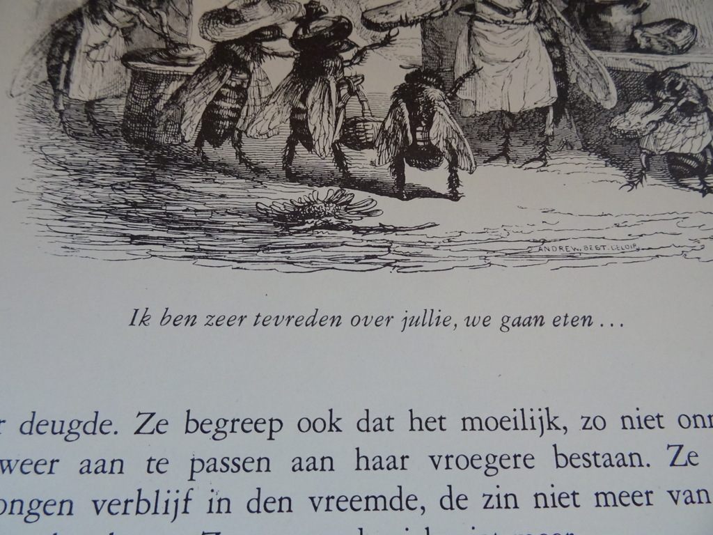 Beelden uit het persoonlijke en openbare leven der dieren - Afbeelding 33
