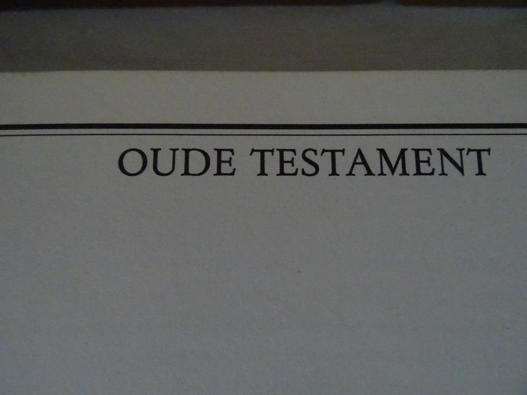 Gustave Doré De bijbel - Afbeelding 20