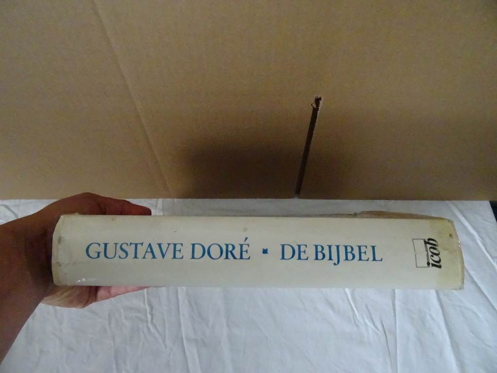 Gustave Doré De bijbel - Afbeelding 39