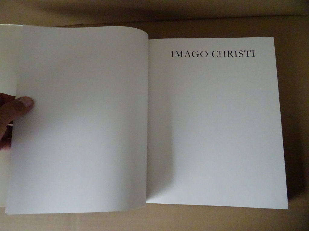 Frits van der Meer Hans Sibbelee Imago Christi - Afbeelding 14