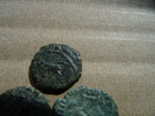 Bodemvondst collectie Romeinse munten