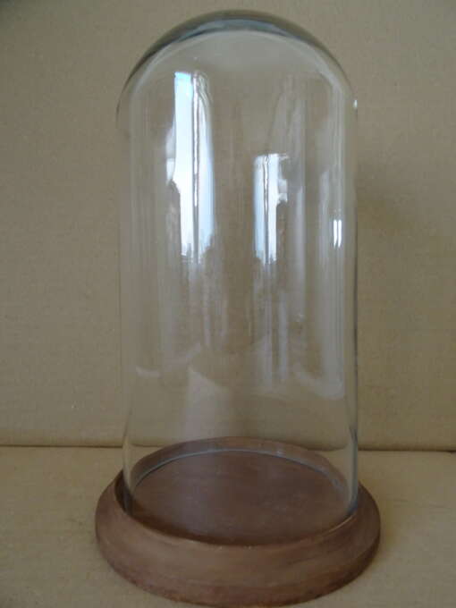 Moderne glazen stolp voor beeld 26,5 cm