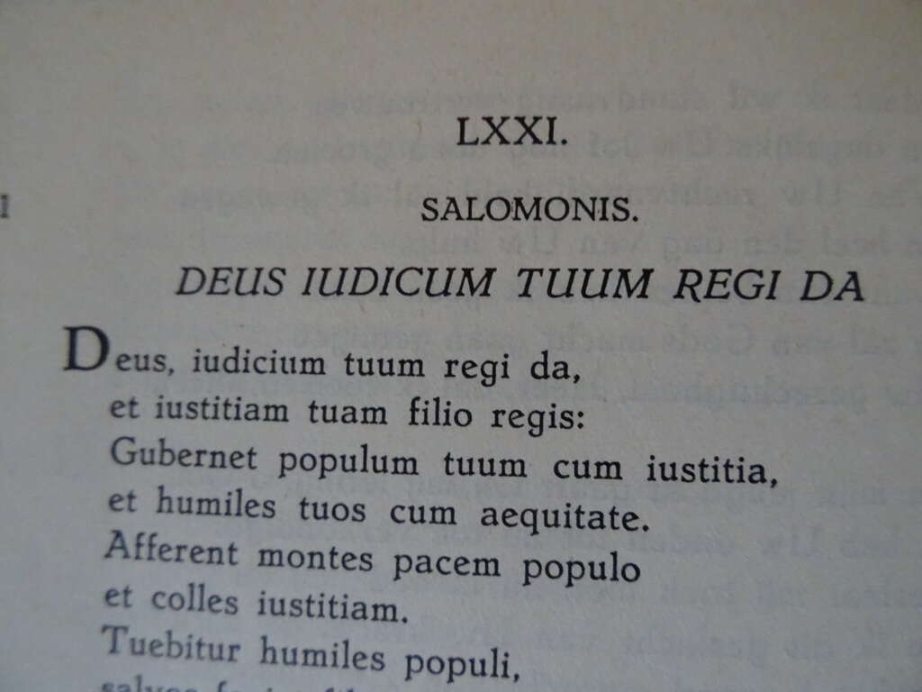 R. Huf O.C.R Het boek der psalmen - Afbeelding 14