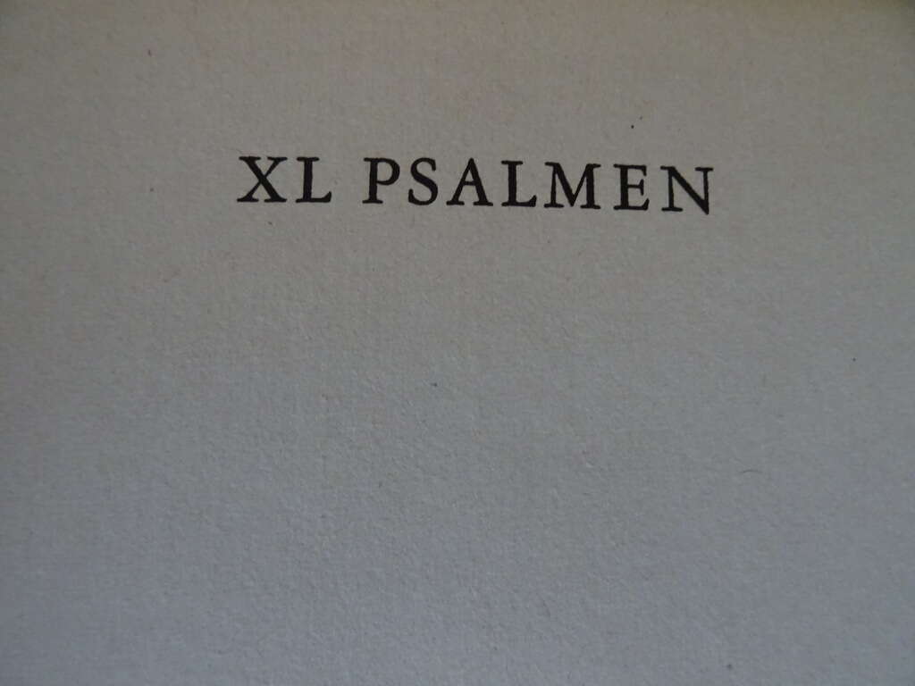 Gabriël Smit XL psalmen - Afbeelding 7