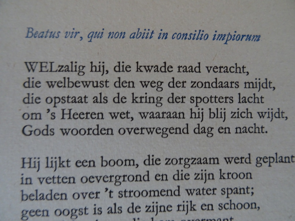 Gabriël Smit XL psalmen - Afbeelding 13