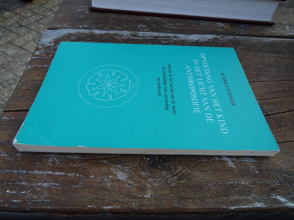 Rudolf Steiner Opvoeding van het kind - Afbeelding 3