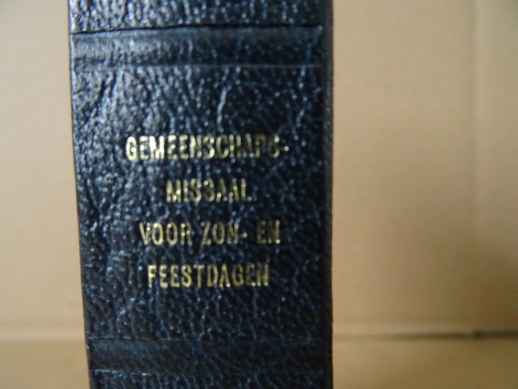 Gemeenschapsmissaal voor zon- en feestdagen - Afbeelding 2