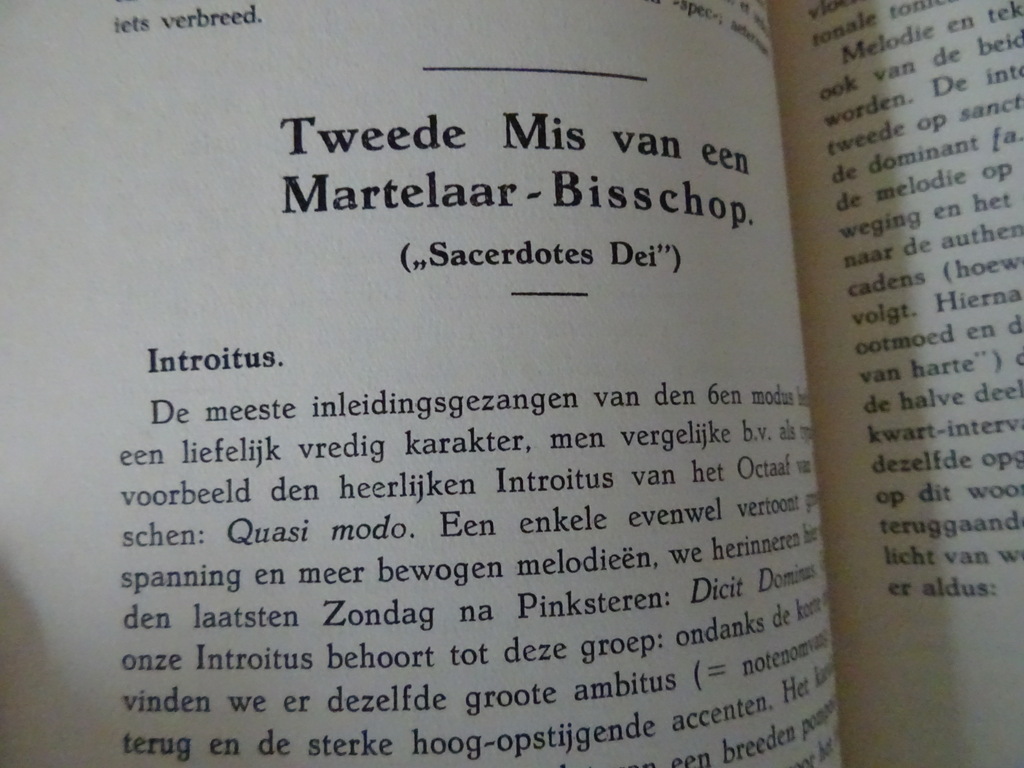 Dom J. van Gennep O.S.B. Handboek van den Roomschen kerkzanger - Afbeelding 20