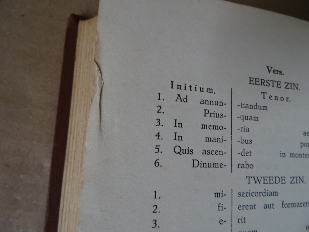 Dom J. van Gennep O.S.B. Handboek van den Roomschen kerkzanger - Afbeelding 22
