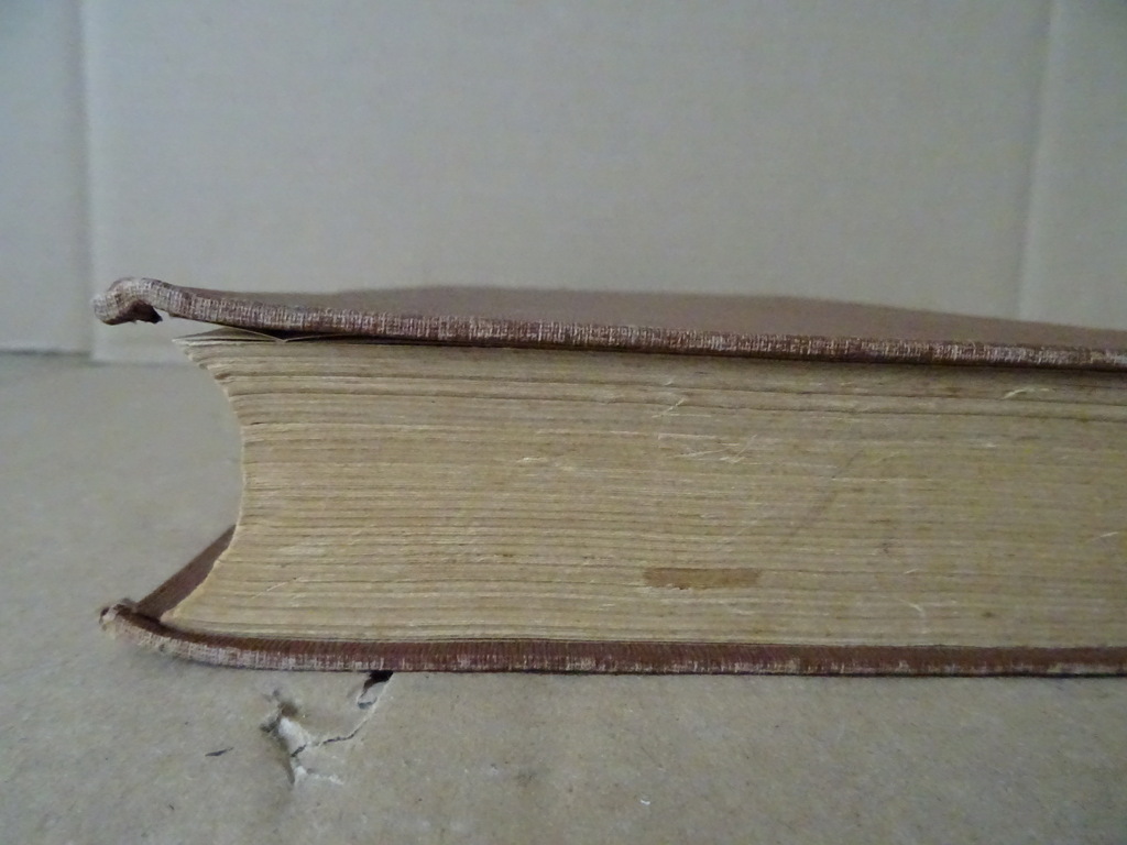 Dom J. van Gennep O.S.B. Handboek van den Roomschen kerkzanger - Afbeelding 28