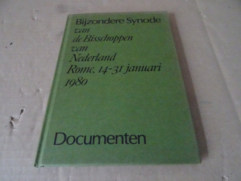 Bijzondere Synode van de Bisschoppen van Nederland - Afbeelding 2