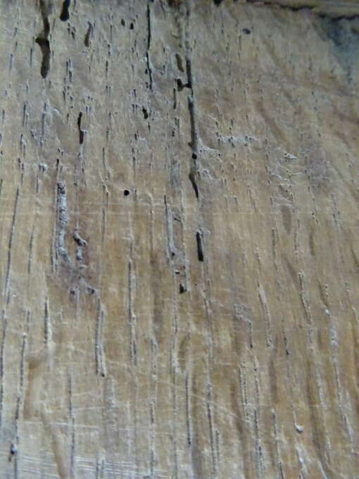 Antiek houtsnijwerk ANA