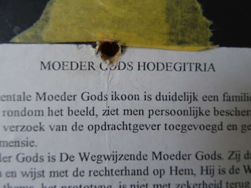 Groot Hodegitria Moeder Gods icoon