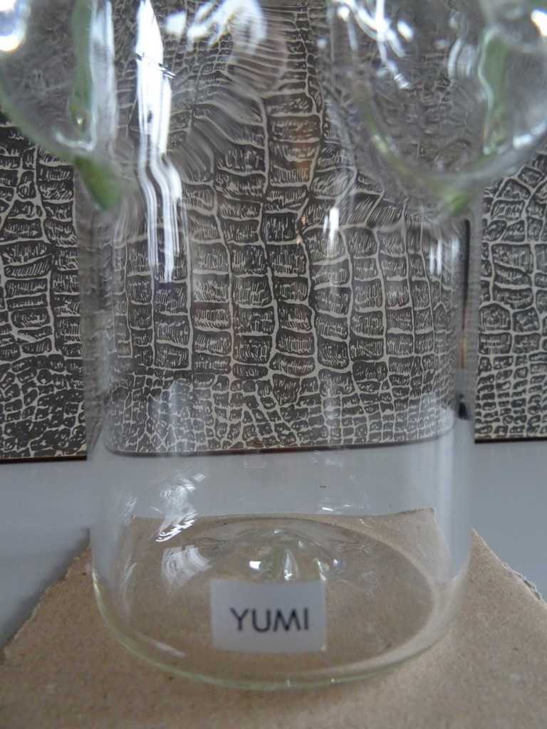 Glaskunst Yumi Ming Hou Chen - Afbeelding 3