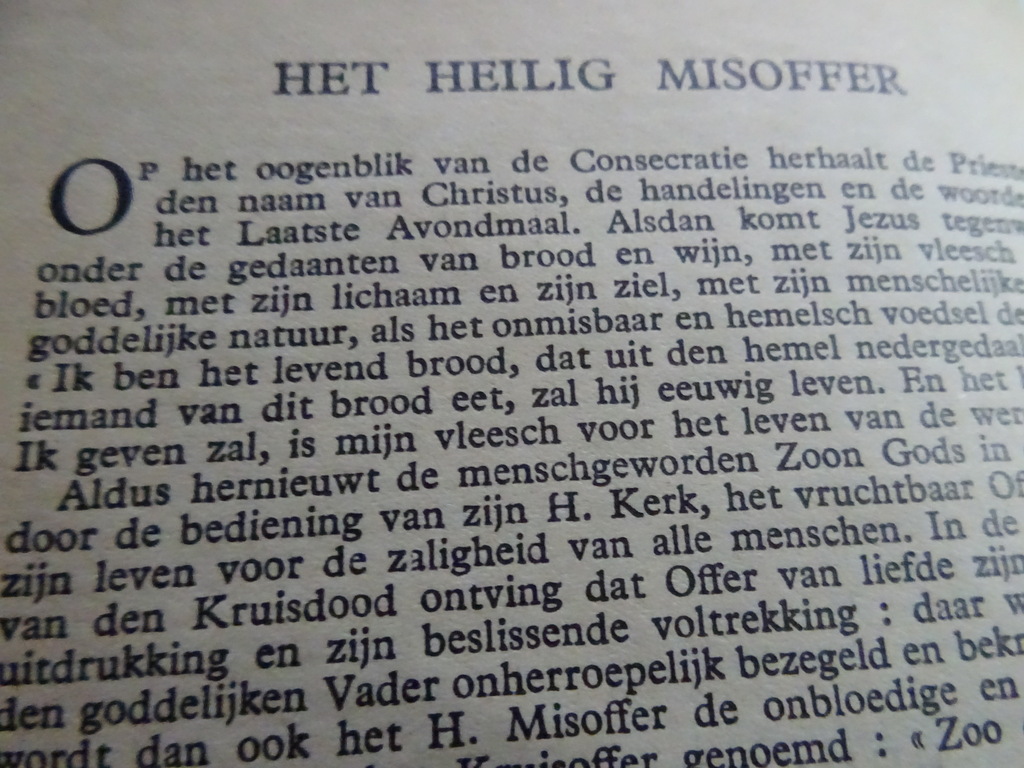 D.J. Kreps Zangboekje Gregoriaansche gezangen - Afbeelding 19