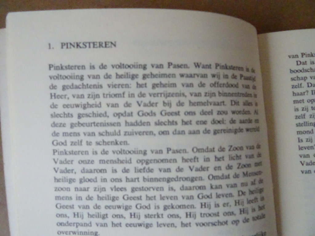 In dienst van het woord 8 Na-Pinkstertijd III - Afbeelding 11