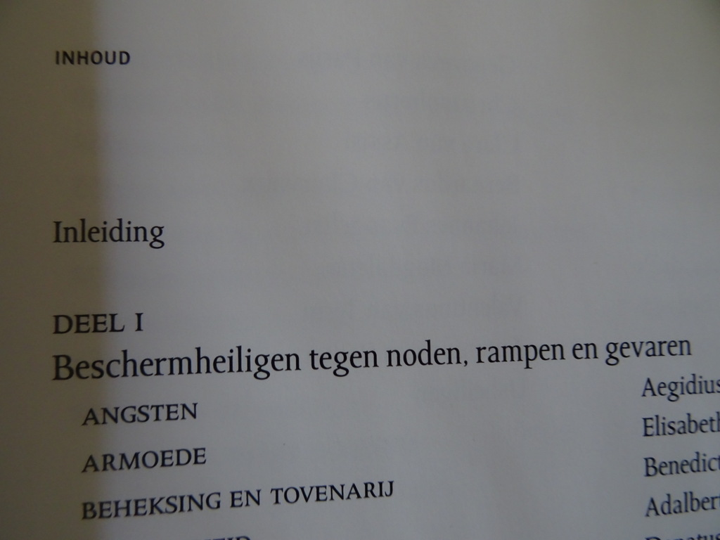 Jo Claes e.a. Beschermheiligen in de Lage Landen - Afbeelding 10