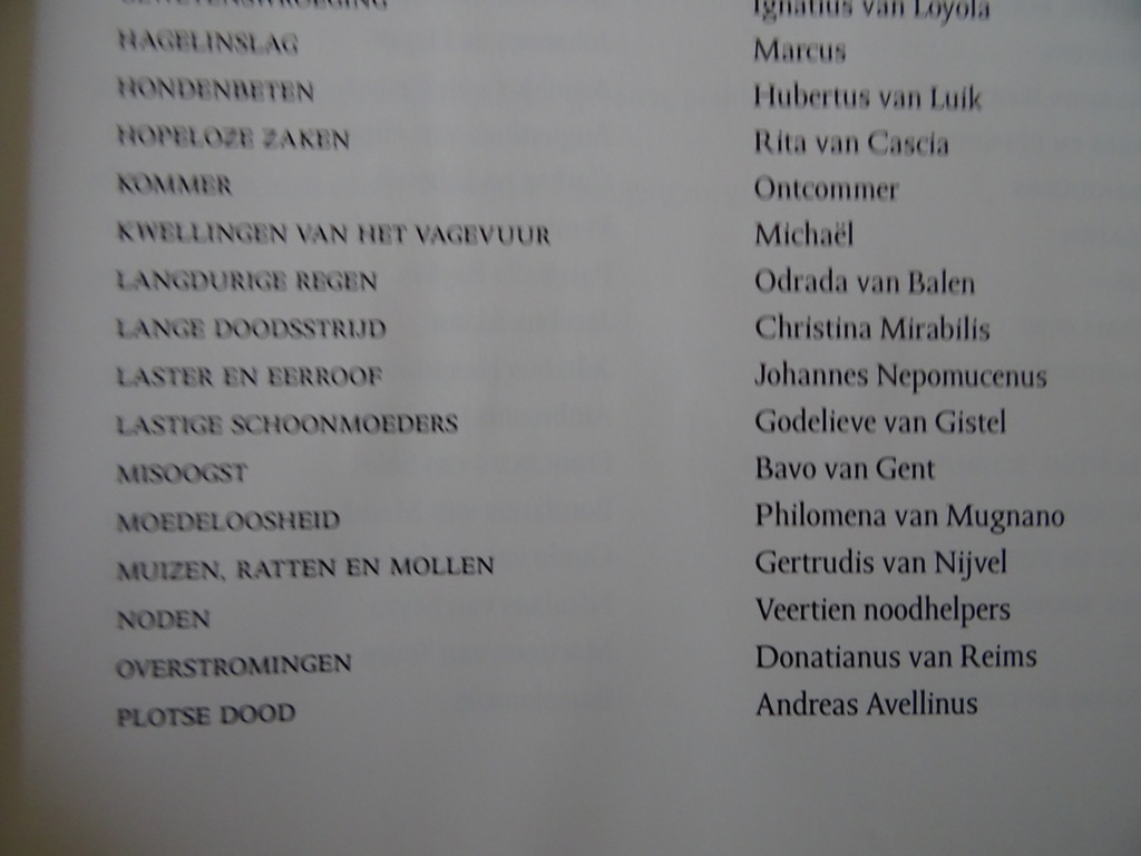 Jo Claes e.a. Beschermheiligen in de Lage Landen - Afbeelding 14