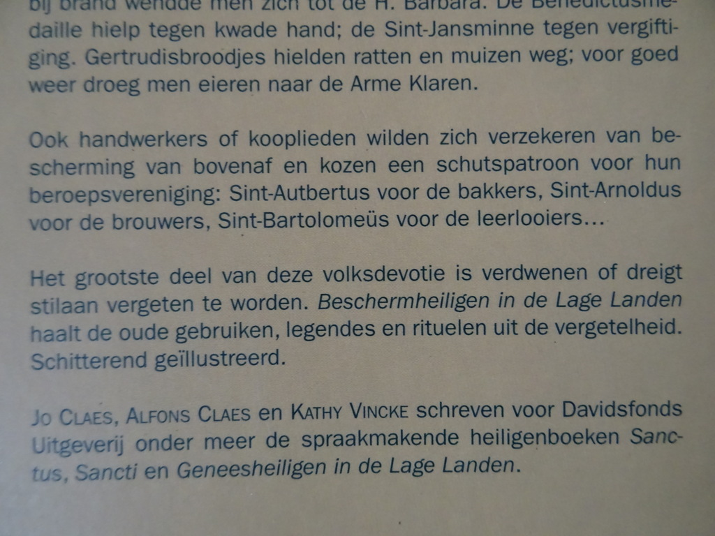 Jo Claes e.a. Beschermheiligen in de Lage Landen - Afbeelding 26
