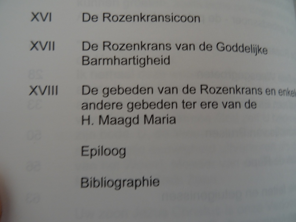 M.P. van Blijswijk De Rozenkrans van de Heilige Maagd Maria - Afbeelding 19