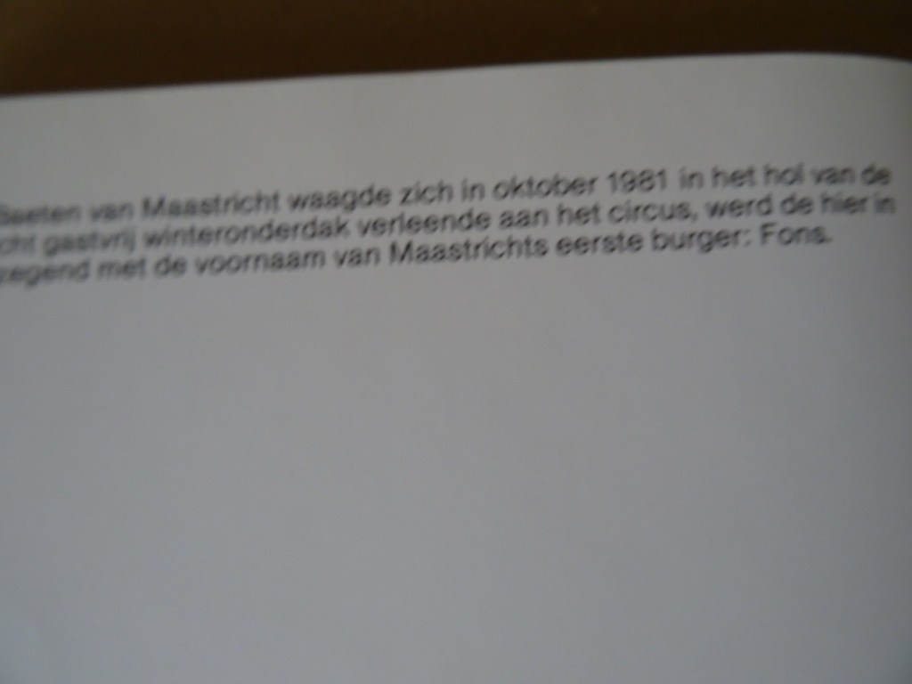 Marcel van Lingen Limburg '81-'82 - Afbeelding 10