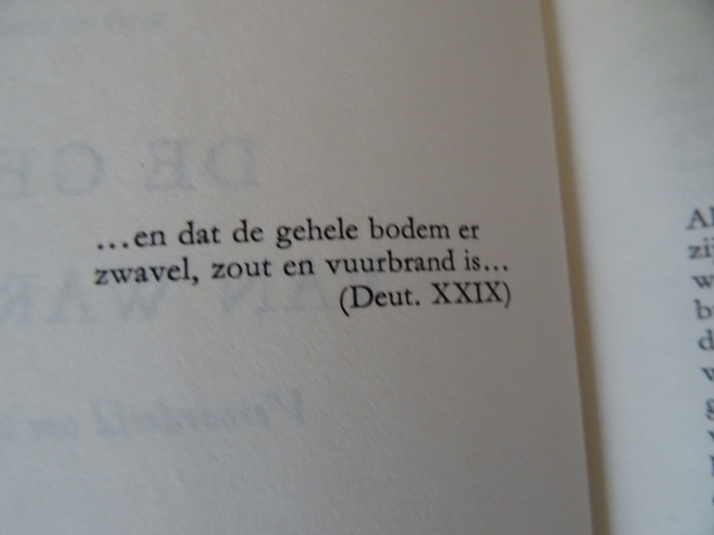 Anna Langfus De gesel van Warschau - Afbeelding 13