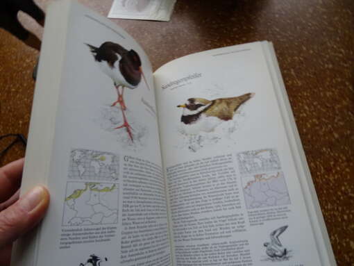 Buch der vogelwelt Mitteleuropas