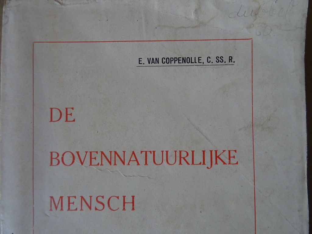 E. van Coppenolle De bovennatuurlijke mensch - Afbeelding 2