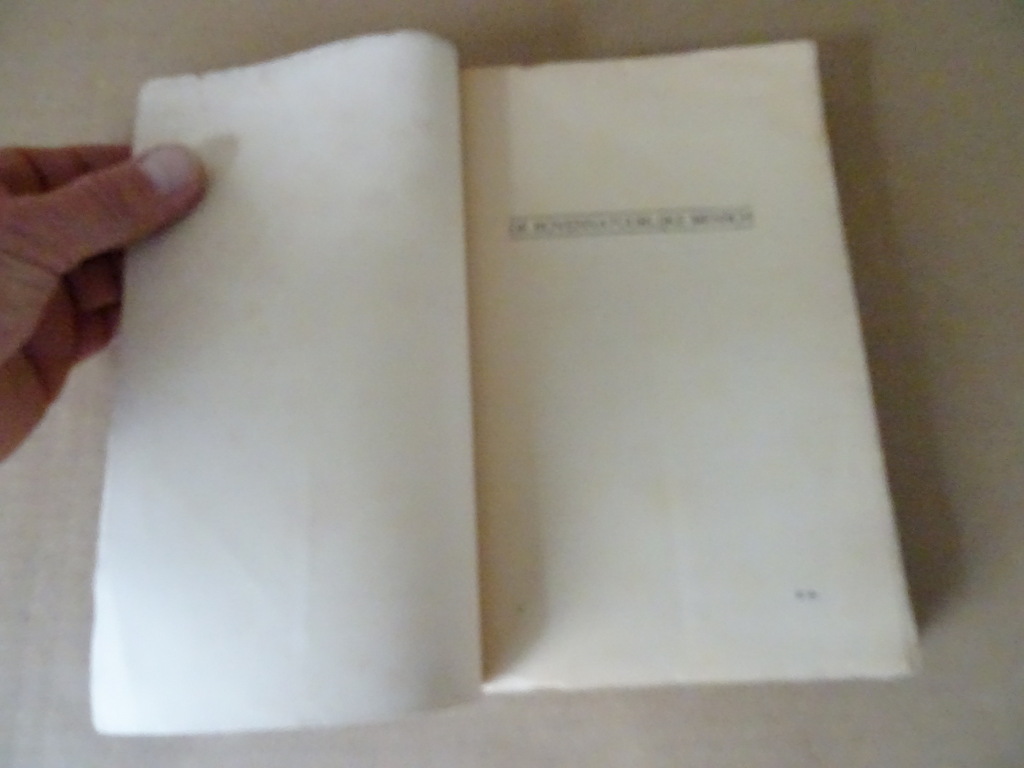 E. van Coppenolle De bovennatuurlijke mensch - Afbeelding 5