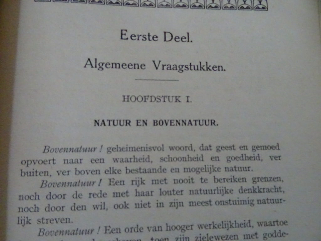 E. van Coppenolle De bovennatuurlijke mensch - Afbeelding 9