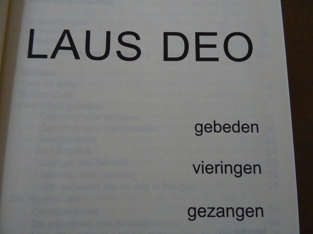 Laus Deo Gebeden vieringen gezangen - Afbeelding 6