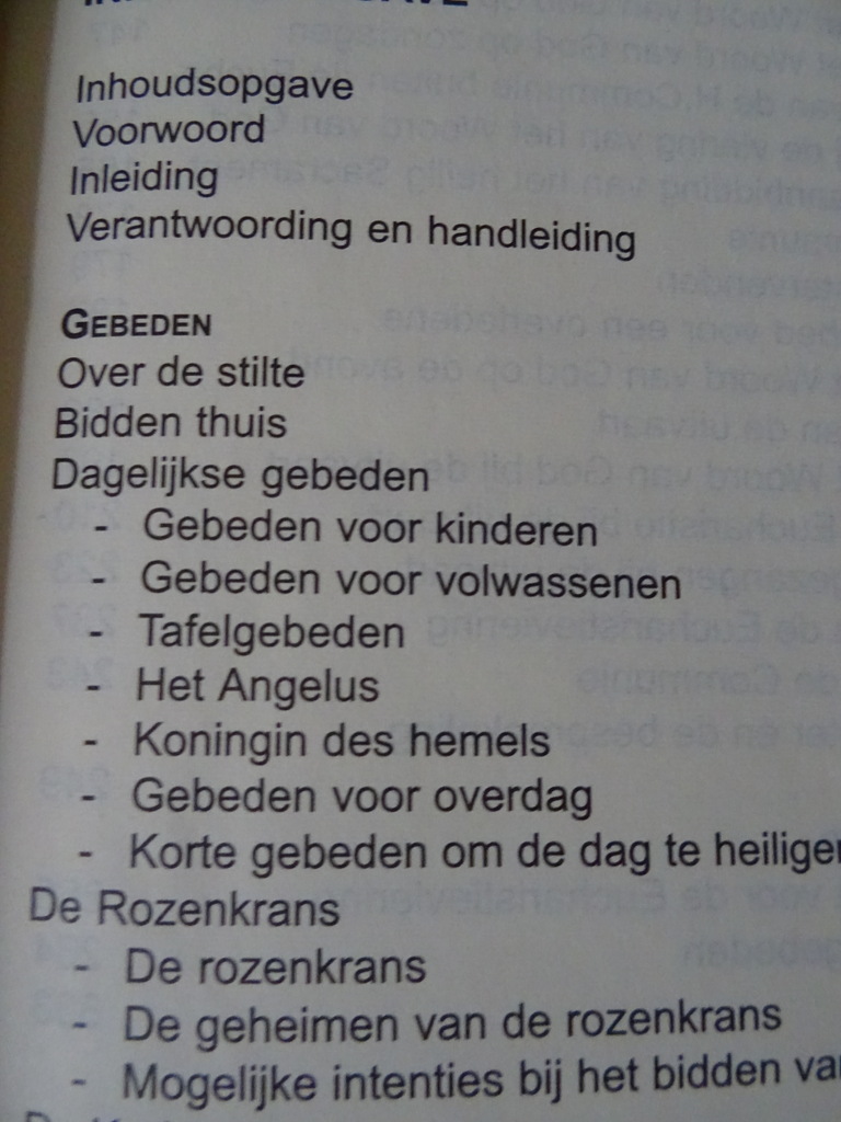Laus Deo Gebeden vieringen gezangen - Afbeelding 10
