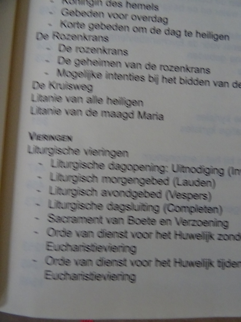 Laus Deo Gebeden vieringen gezangen - Afbeelding 11