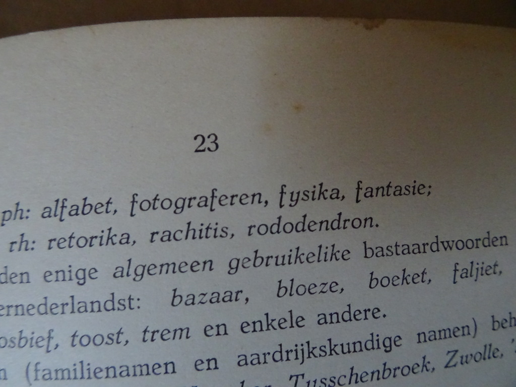 De verbreiding van de Vereenvoudigde Spelling - Afbeelding 23