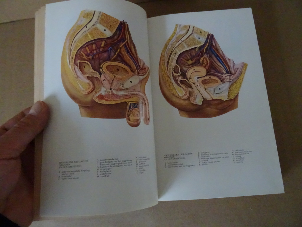 Geïllustreerde medische encyclopedie - Afbeelding 12
