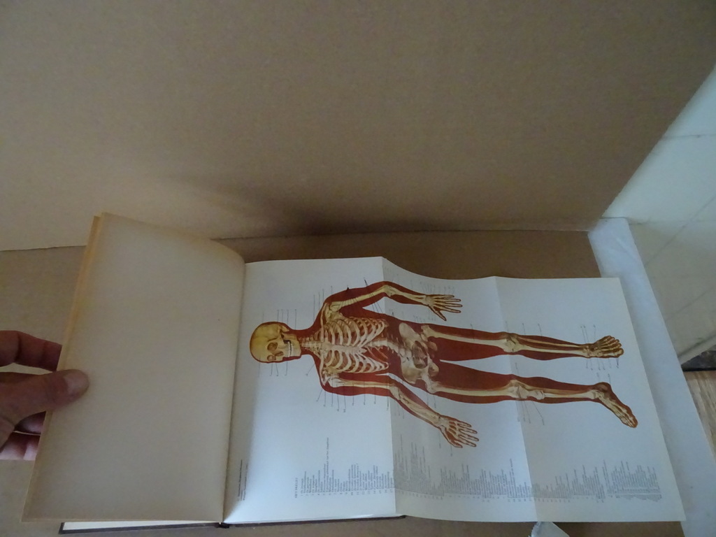 Geïllustreerde medische encyclopedie - Afbeelding 14