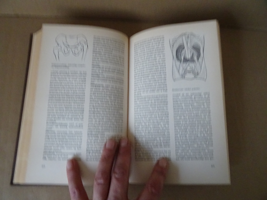 Geïllustreerde medische encyclopedie - Afbeelding 15