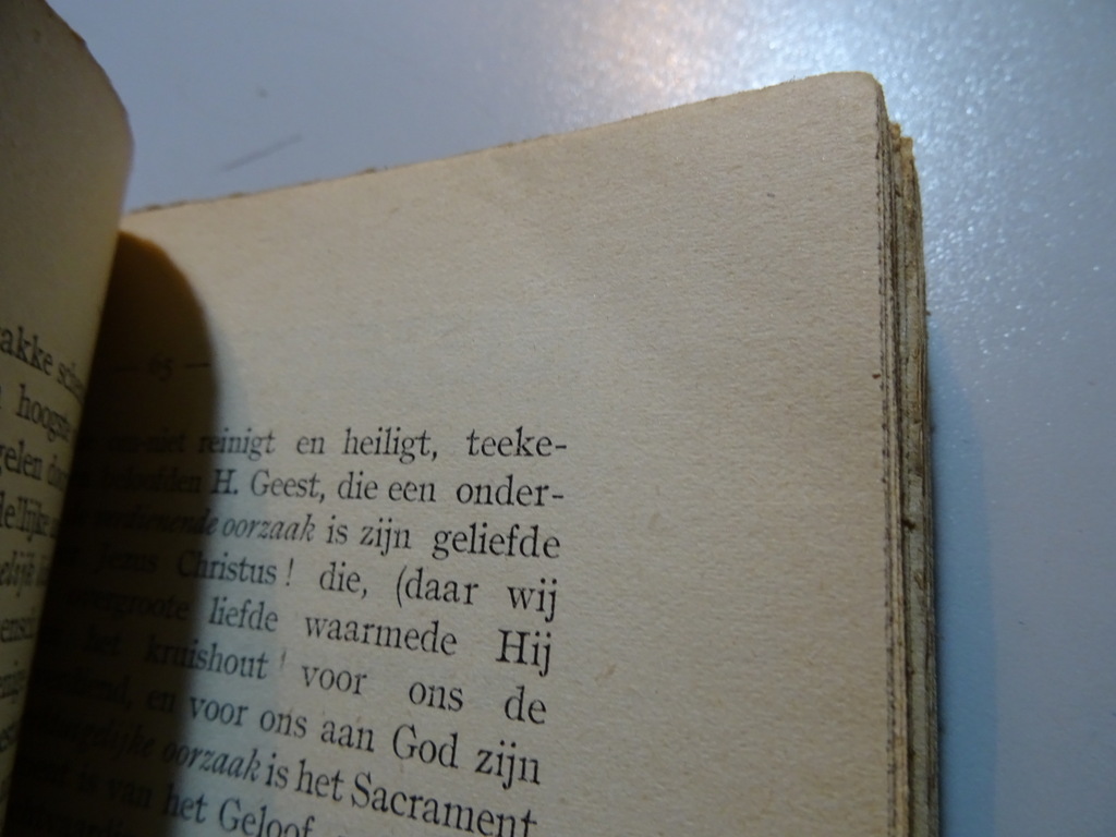 E. van Coppenolle De bovennatuurlijke mensch - Afbeelding 17