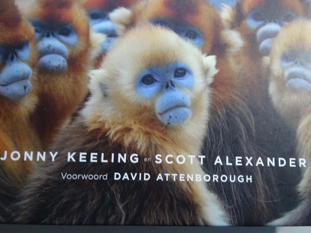 Jonny Keeling en Scott Alexander Zeven werelden - Afbeelding 5