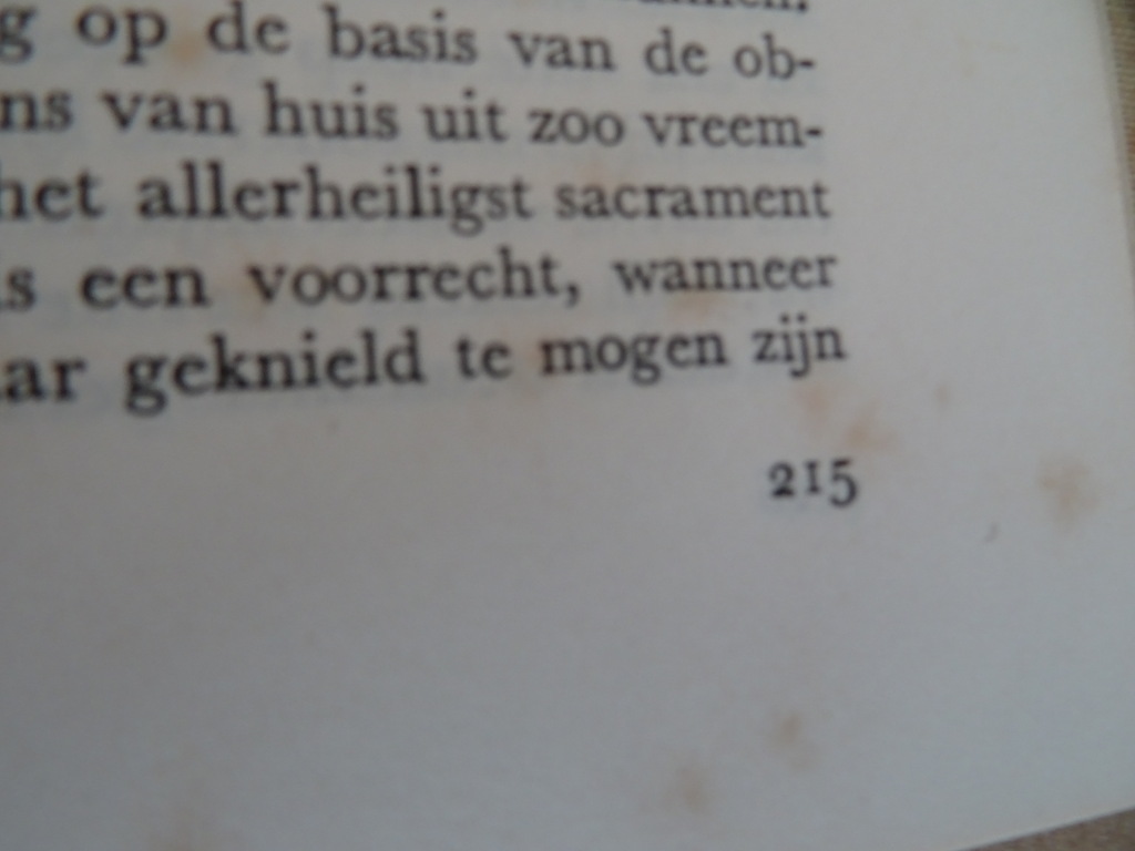 Dr. Cornelia J. de Vogel Ecclesia Catholica - Afbeelding 22