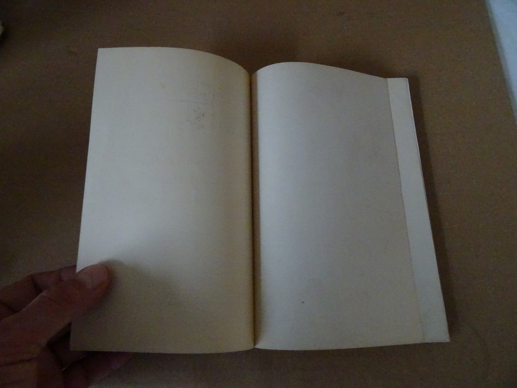 J.M. Texier De gelukzalige Louis Marie Grignion de Montfort - Afbeelding 4