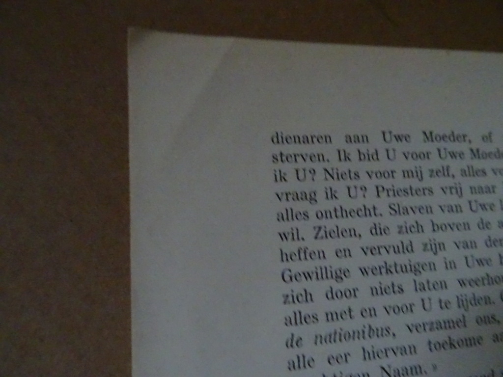 J.M. Texier De gelukzalige Louis Marie Grignion de Montfort - Afbeelding 14