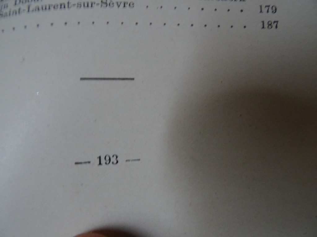 J.M. Texier De gelukzalige Louis Marie Grignion de Montfort - Afbeelding 15