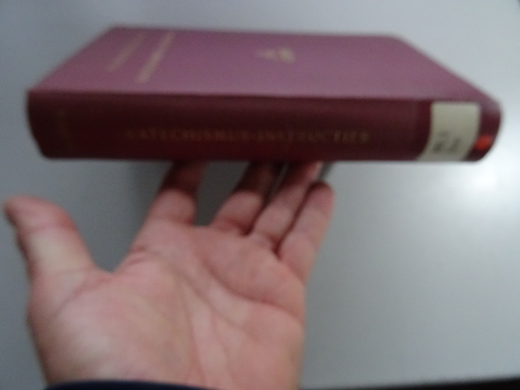 Katechismus-Instructies door P. Carolus Tesser O.F.M. - Afbeelding 3