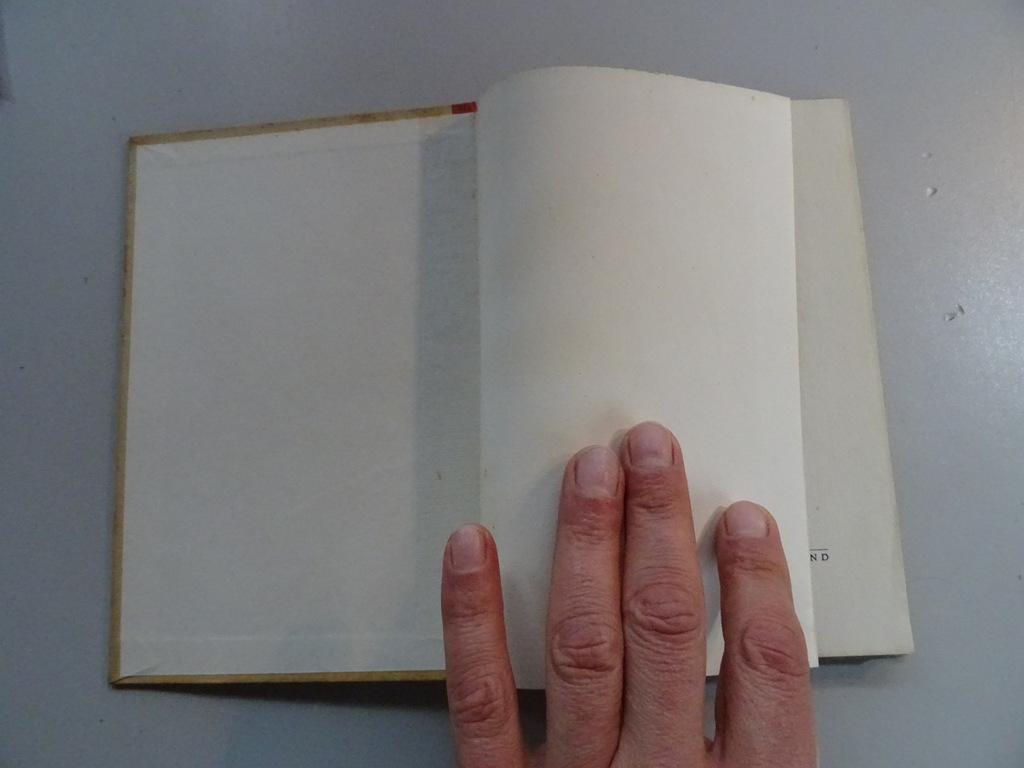 Dr. H. H. Knippenberg Memoriaal - Afbeelding 2