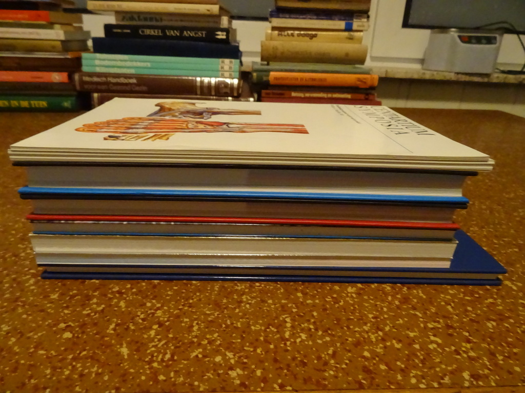 Collectie boeken geneeskunde voeten - Afbeelding 18