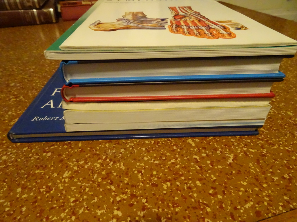 Collectie boeken geneeskunde voeten - Afbeelding 19