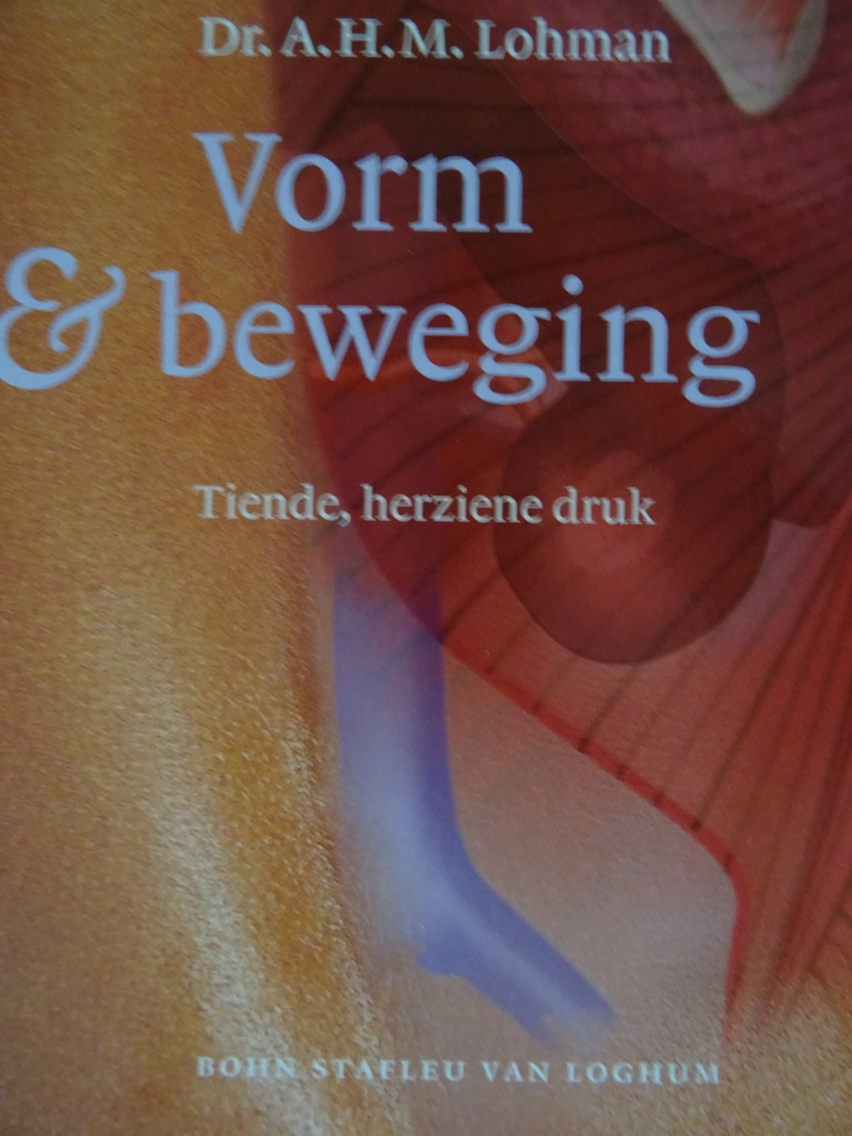 Dr. A.H.M. Lohman Vorm en beweging - Afbeelding 2