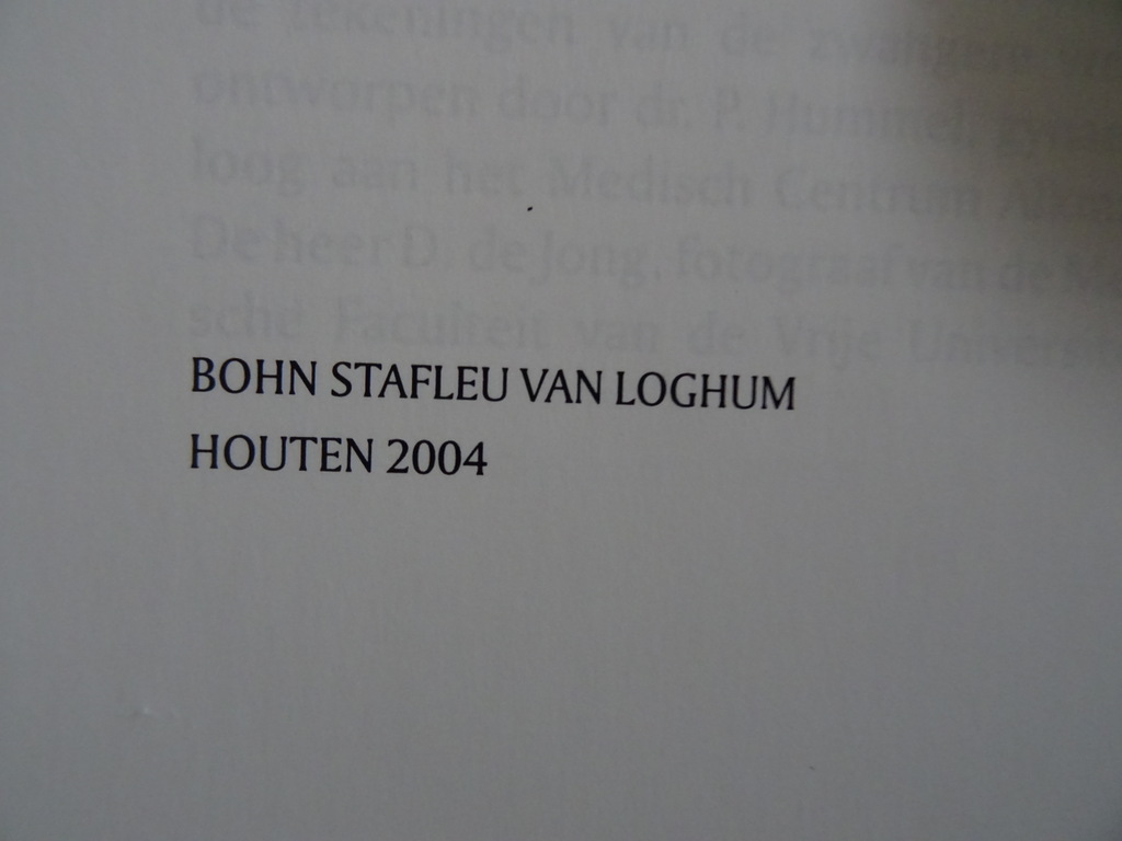 Dr. A.H.M. Lohman Vorm en beweging - Afbeelding 7