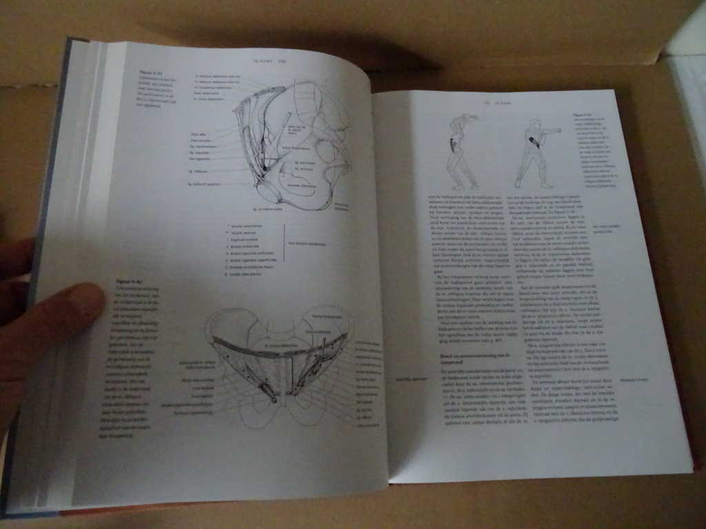 Dr. A.H.M. Lohman Vorm en beweging - Afbeelding 8